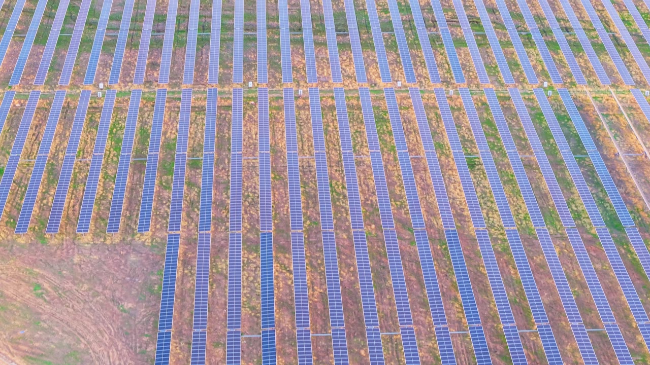 Filas de paneles de una planta fotovoltaica vistas desde el dron